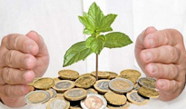 在投资一些金融公司时如何选择才是最正确的